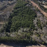 20 Acres in Jasper County MS images 2