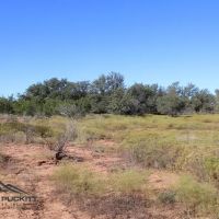 Lake Ranch images 4