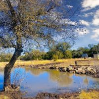 Coming Soon Exclusive Hunting Escape - 103.99 - acres on the Eastside of Edwards County Tx images 2