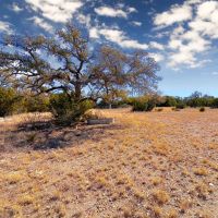 Coming Soon Exclusive Hunting Escape - 103.99 - acres on the Eastside of Edwards County Tx images 4