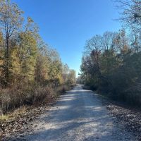130 Acres in Issaquena County MS images 2