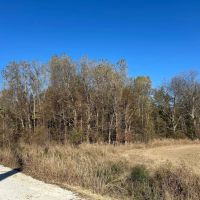 130 Acres in Issaquena County MS images 3