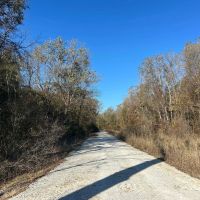 130 Acres in Issaquena County MS images 4