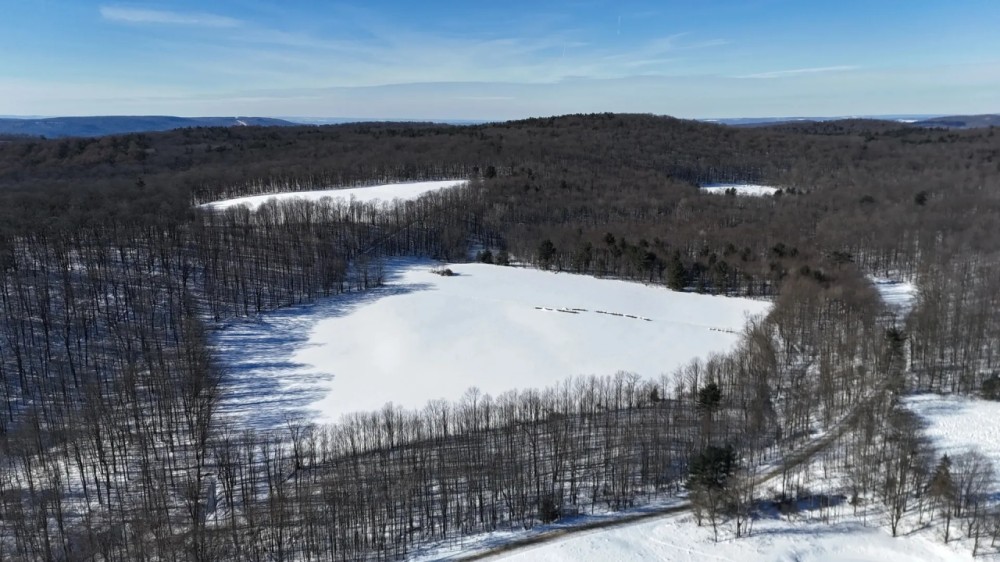 44 acres Land Bordering State Land Marathon NY featured image