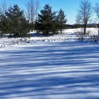 44 acres Land Bordering State Land Marathon NY images 2
