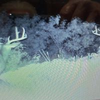  Year Round Hunting Lease - $2,400 (Big Lake,Texas)