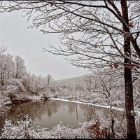 14 acres House with Ponds and Creek bordering State Land in Birdsall NY 8448 County Road 16 images 3