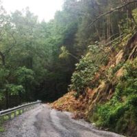 Chattahoochee National Forest 866,468 Acres of Turkey Hunting in Hall, GA images 2