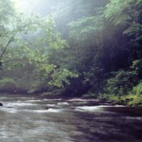 Chattahoochee National Forest 866,468 Acres of Turkey Hunting in Hall, GA images 3