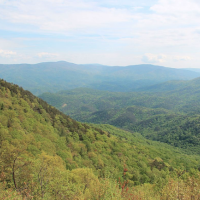 Chattahoochee National Forest 866,468 Acres of Turkey Hunting in Hall, GA images 4