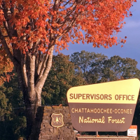 Chattahoochee National Forest 866,468 Acres of Turkey Hunting in Hall, GA