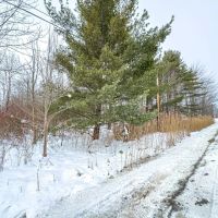 Auction - St Rt 7 - Ashtabula County images 4