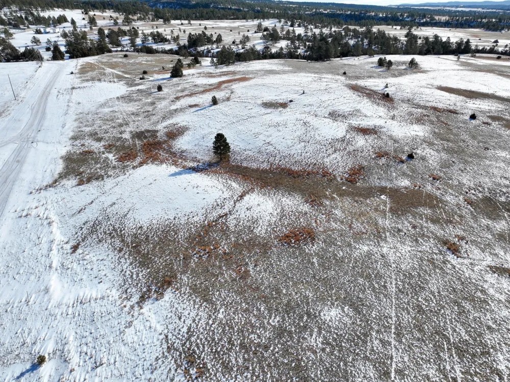 Custer County Acreage featured image