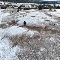 Custer County Acreage