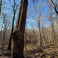 40 Acres in Holmes County MS
