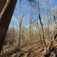 40 Acres in Holmes County MS images 2
