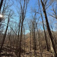 40 Acres in Holmes County MS images 3