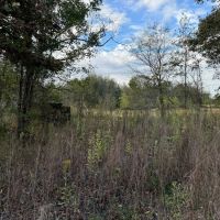 LA - Franklin 280 acres - images 5