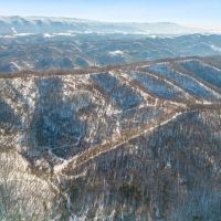 Large Timber Tract for Sale in Bluefield VA images 2