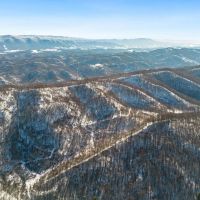 Large Timber Tract for Sale in Bluefield VA images 3