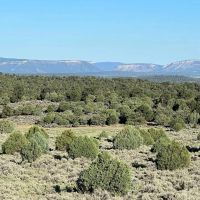 Incredible Elk Hunting Ranch in Chama Valley images 4