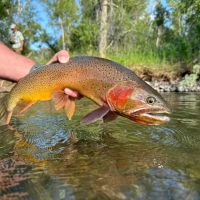 Antlers Ranch images 3
