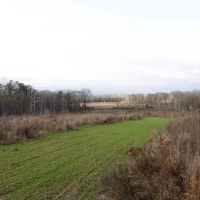 130 Acres with a Cabin in Claiborne County MS images 4
