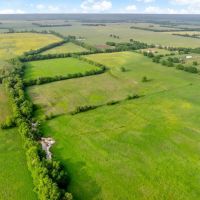 Northeast TX Pasture and Ranch Land For Sale images 4