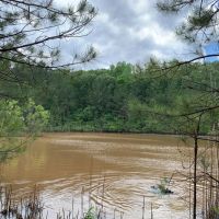 61.99 acres in Coweta County images 4