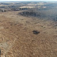 53 acre proven hunting property in Marquette County WI images 5