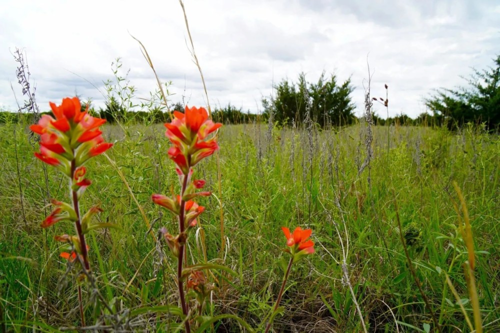 Lincoln County Oklahoma Hunting Recreational Land for Sale featured image