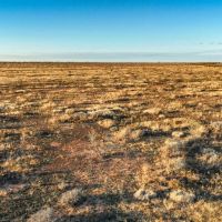 Wolf Ranch images 3