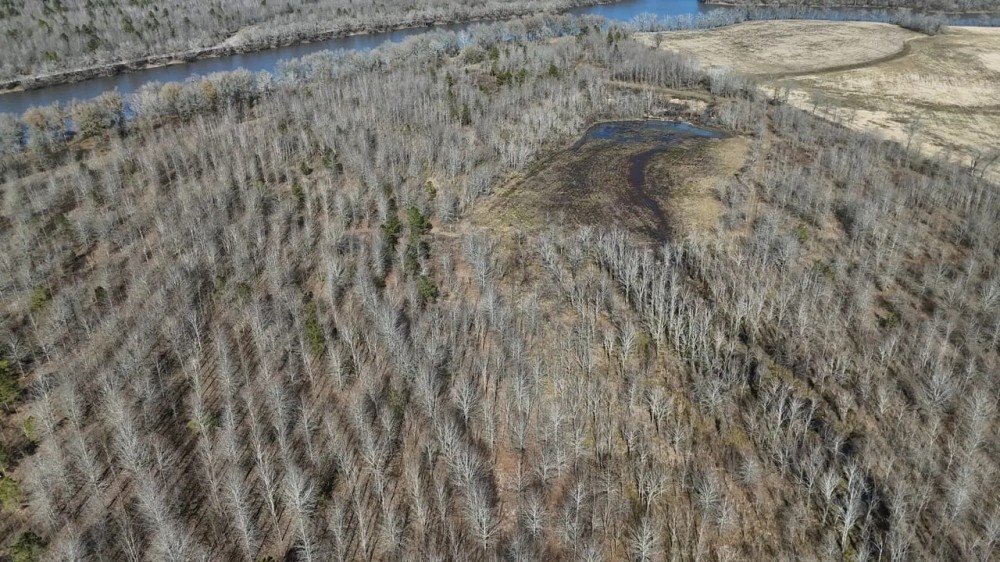 Duck and Deer Hunting Land with a Camp Spot for Sale featured image