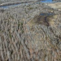 Duck and Deer Hunting Land with a Camp Spot for Sale