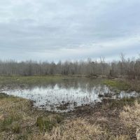 Duck and Deer Hunting Land with a Camp Spot for Sale images 5