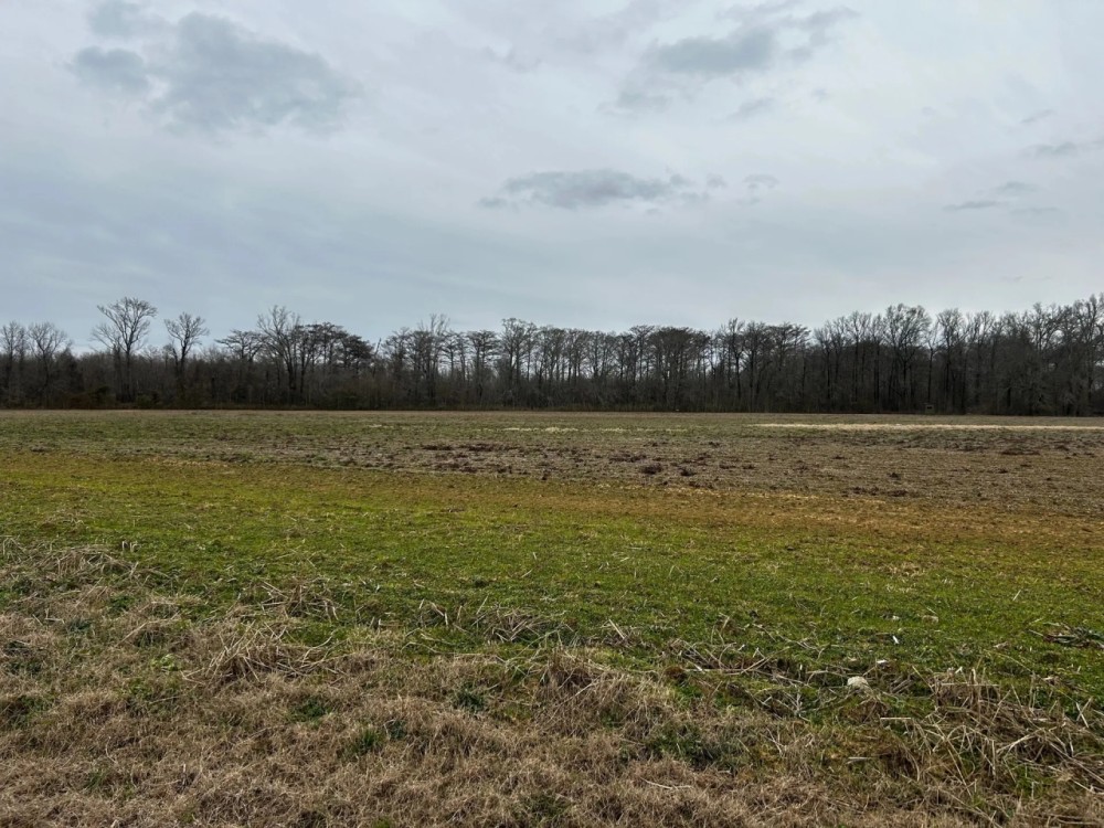 LA - Richland 40 acres - featured image