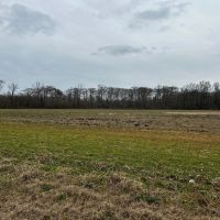 LA - Richland 40 acres -