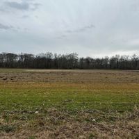 LA - Richland 40 acres - images 2