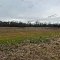LA - Richland 40 acres - images 3