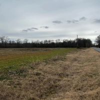 LA - Richland 40 acres - images 4