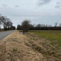LA - Richland 40 acres - images 5