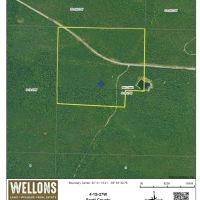 Waldron 137 images 2