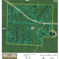 Waldron 137 images 5