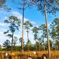 Kissaway Plantation images 2