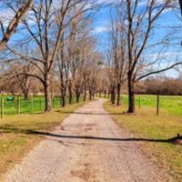 85.4 Acre Turnkey Farm with a Home in Copiah County in Crystal Springs MS images 3