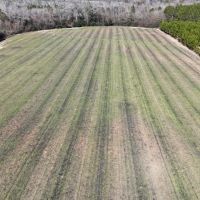 60 Acres in Irwin County GA images 5