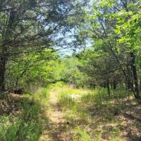 JOSLIN VALLEY Tract C images 5
