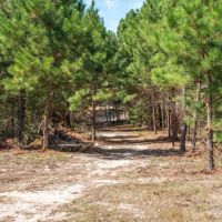 Tract 2 PR 8079 Ben Wheeler