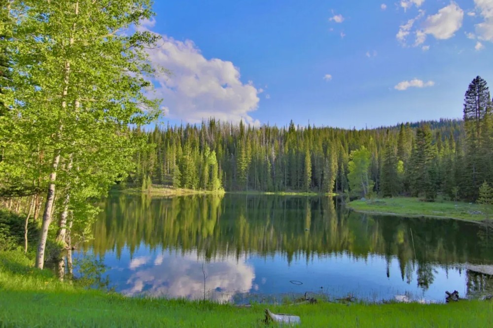 Summit Lake Ranch featured image