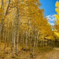 Summit Lake Ranch images 3